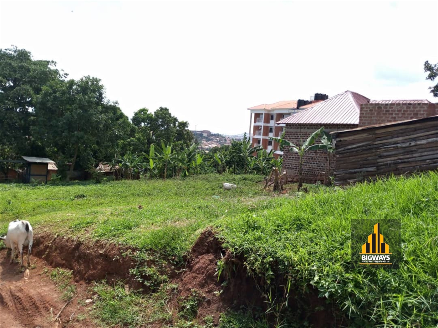 Commercial Land for sale in Makerere Kampala