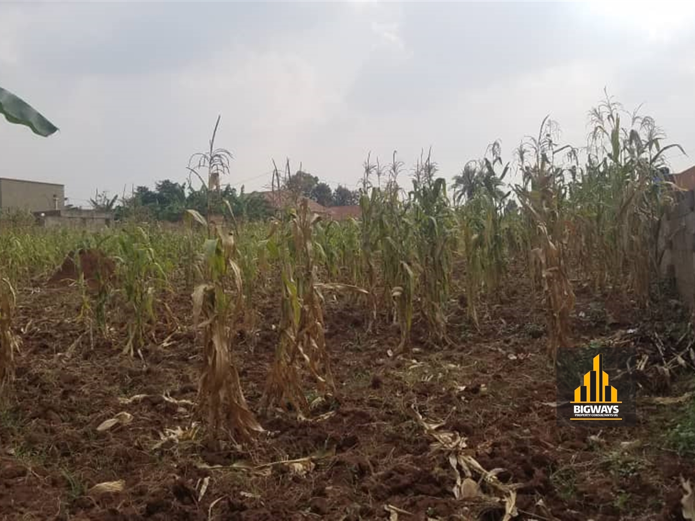 Residential Land for sale in Masooli Wakiso