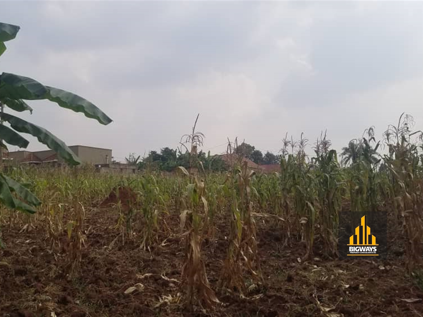 Residential Land for sale in Masooli Wakiso