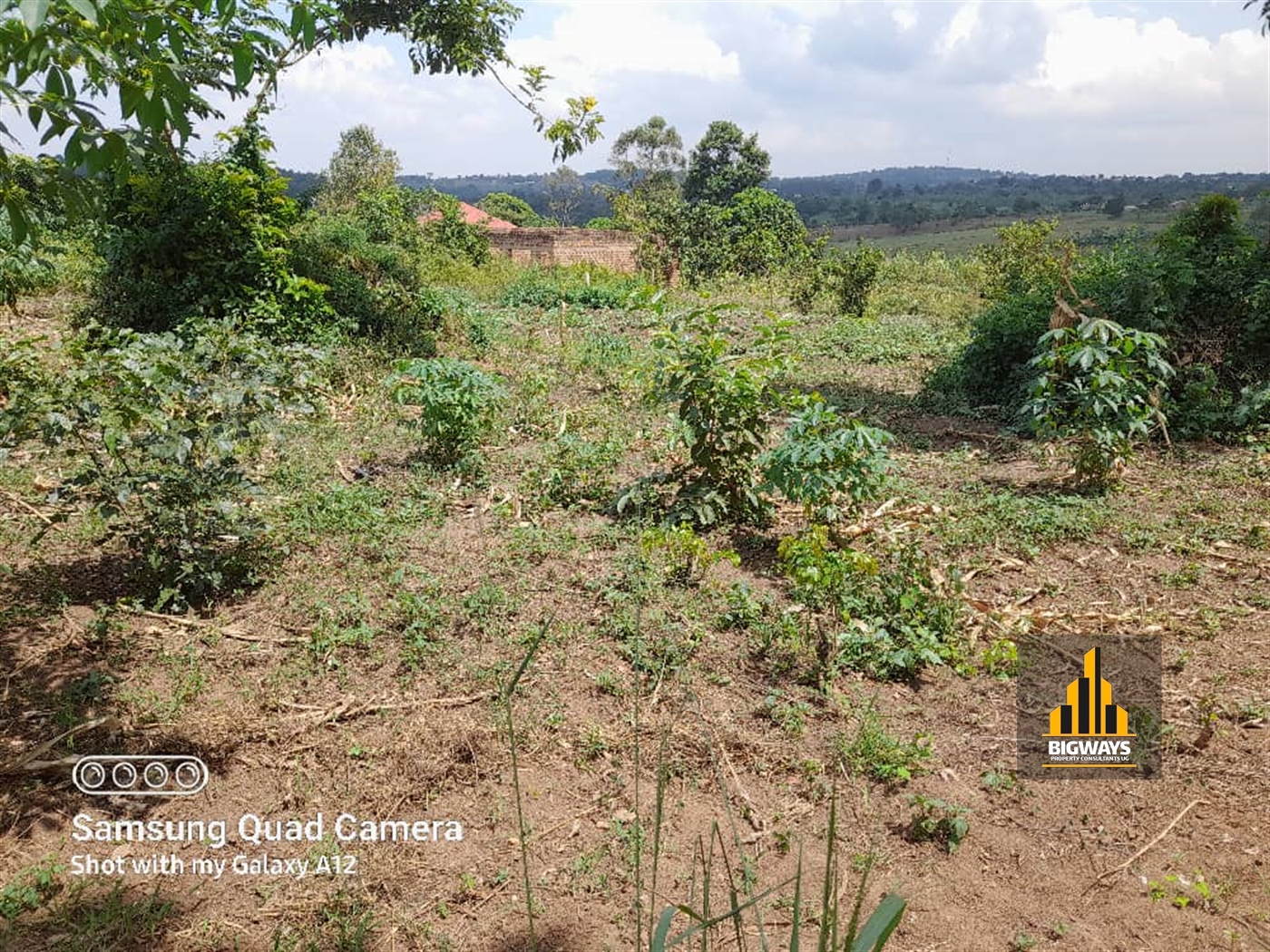 Residential Land for sale in Kiwenda Wakiso