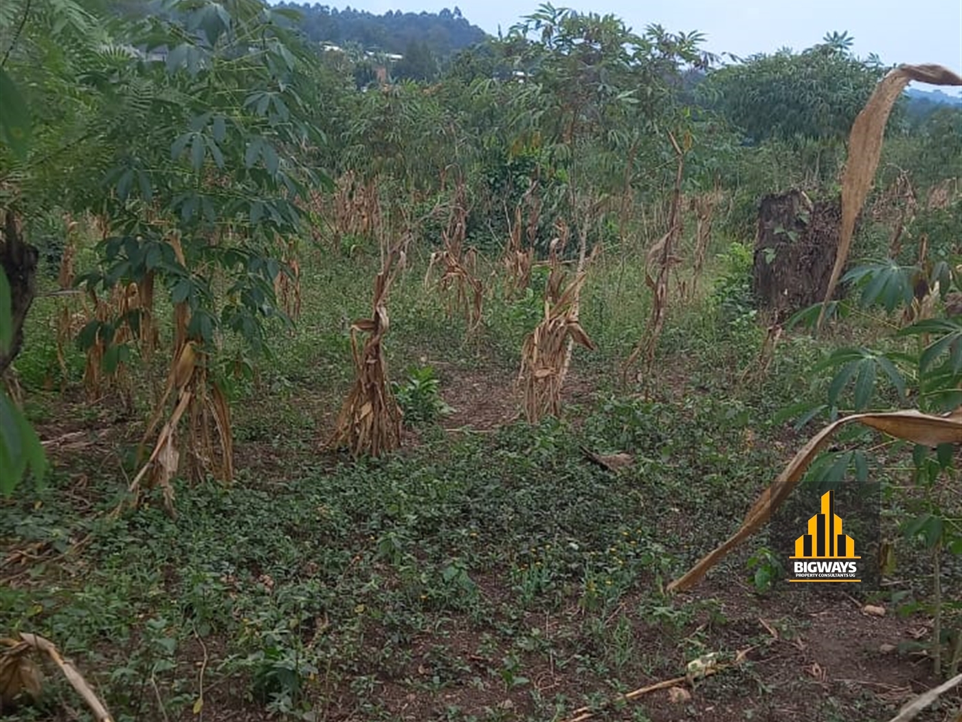 Residential Land for sale in Kiwenda Wakiso