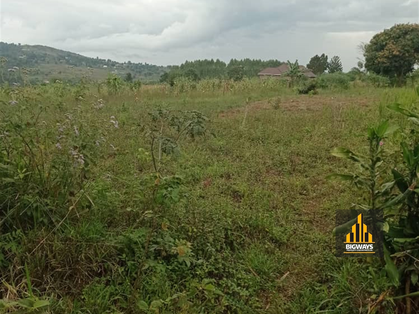 Residential Land for sale in Nsaggu Wakiso