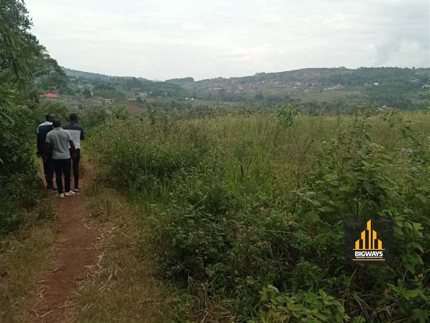 Residential Land for sale in Nsaggu Wakiso