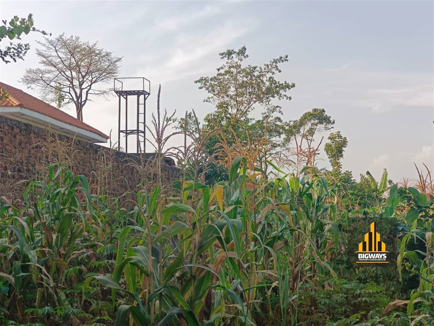 Residential Land for sale in Najjera Wakiso