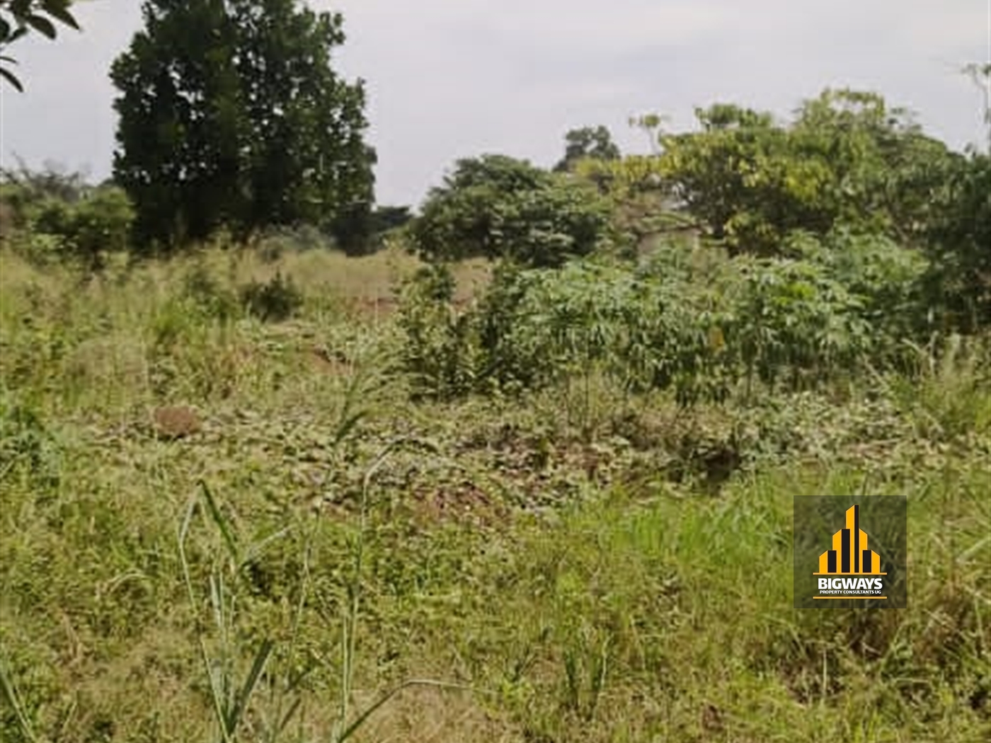 Residential Land for sale in Kitovu Wakiso