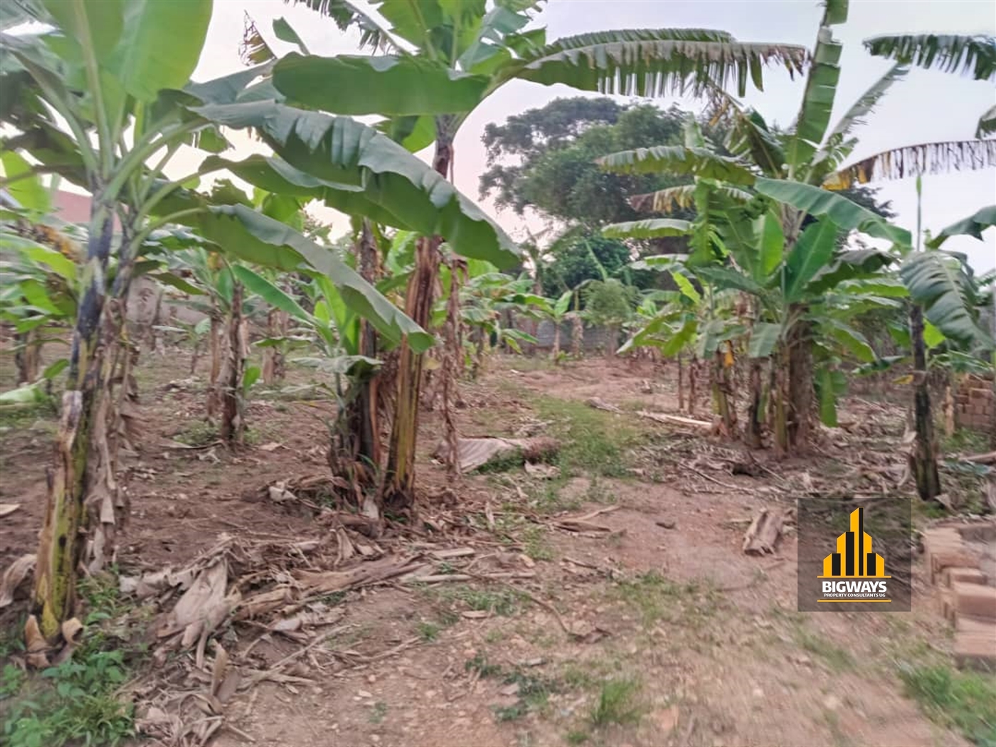 Residential Land for sale in Kyanja Kampala