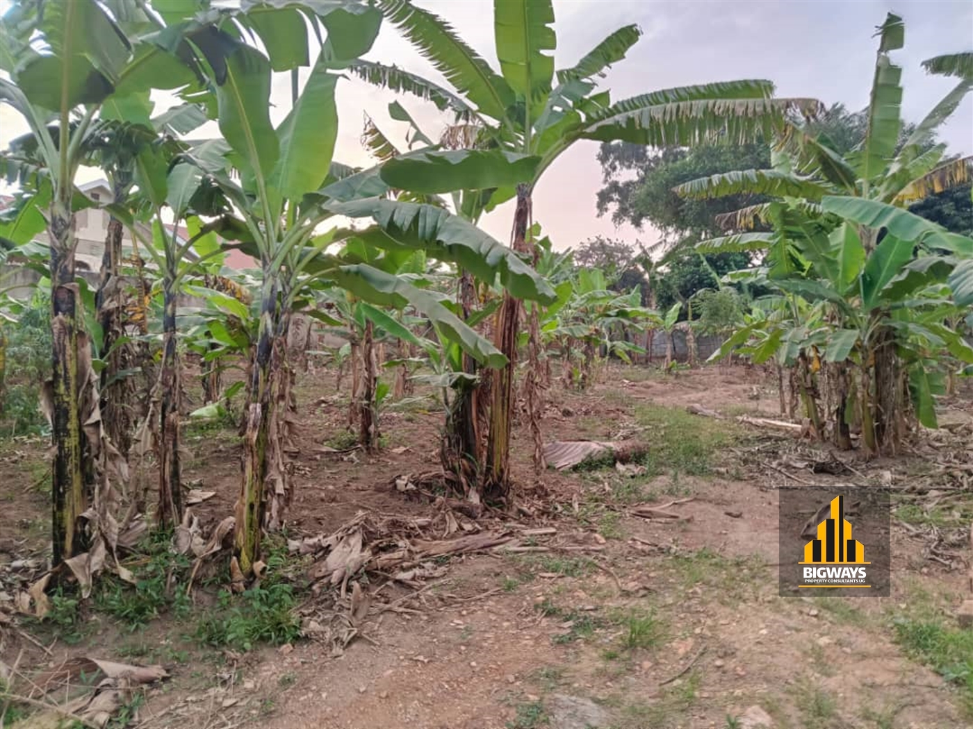 Residential Land for sale in Kyanja Kampala