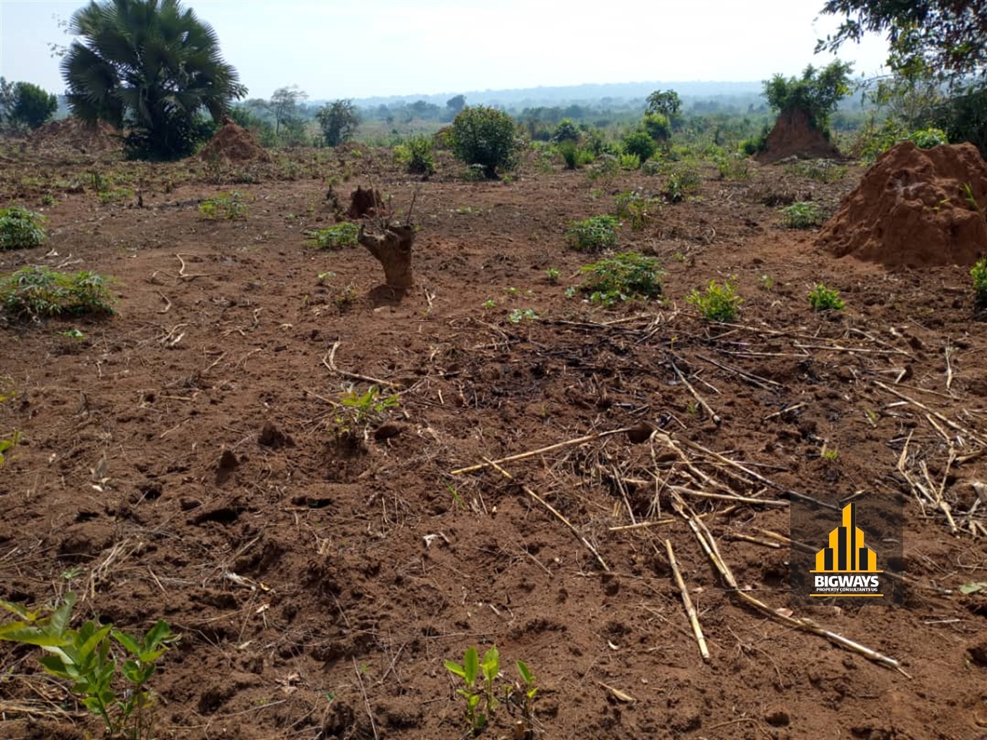 Agricultural Land for sale in Kapeeka Nakaseke