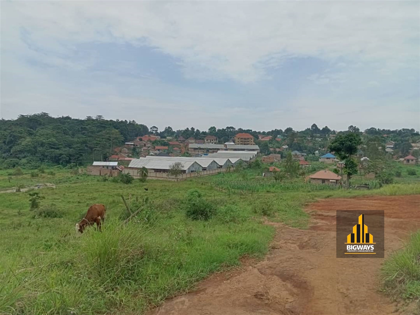 Residential Land for sale in Ntawo Mukono