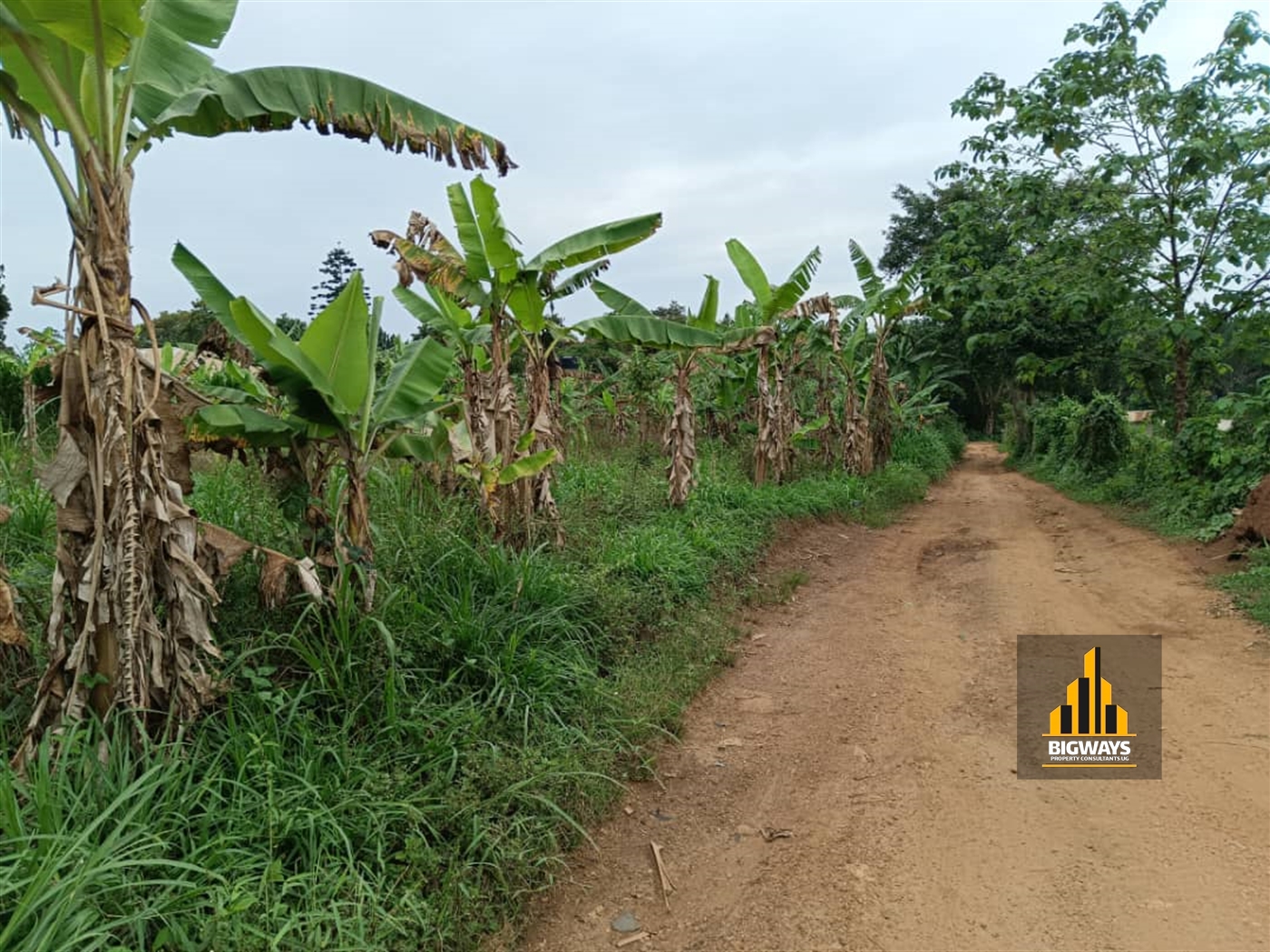 Residential Land for sale in Ntawo Mukono