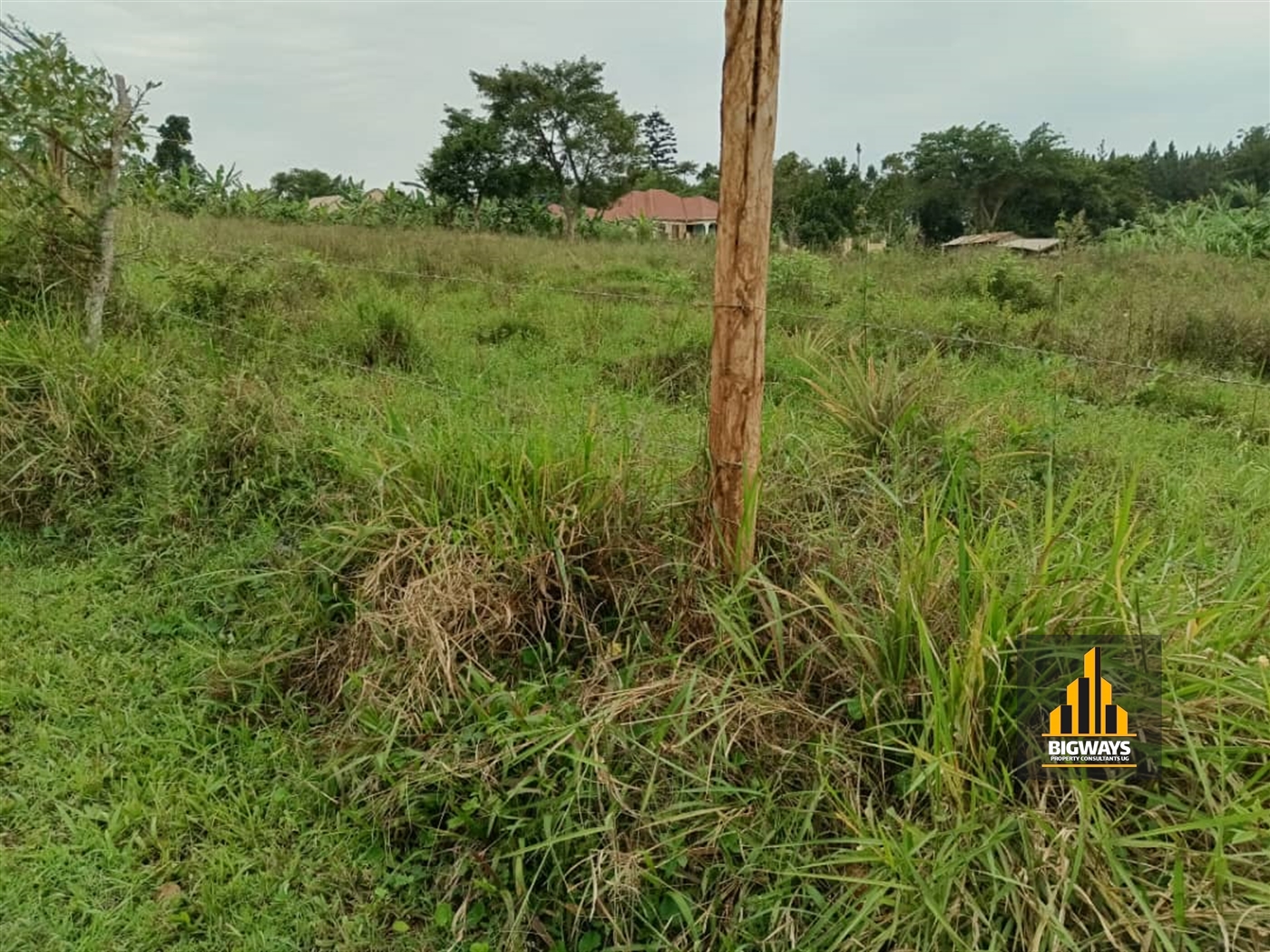 Residential Land for sale in Ntawo Mukono