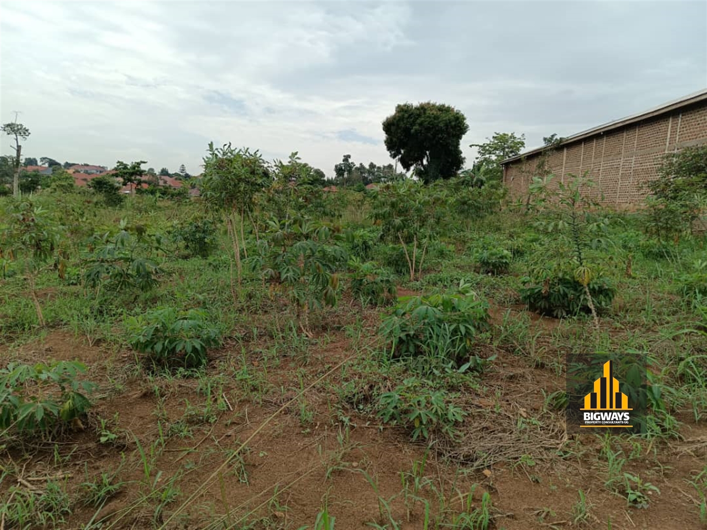 Residential Land for sale in Ntawo Mukono