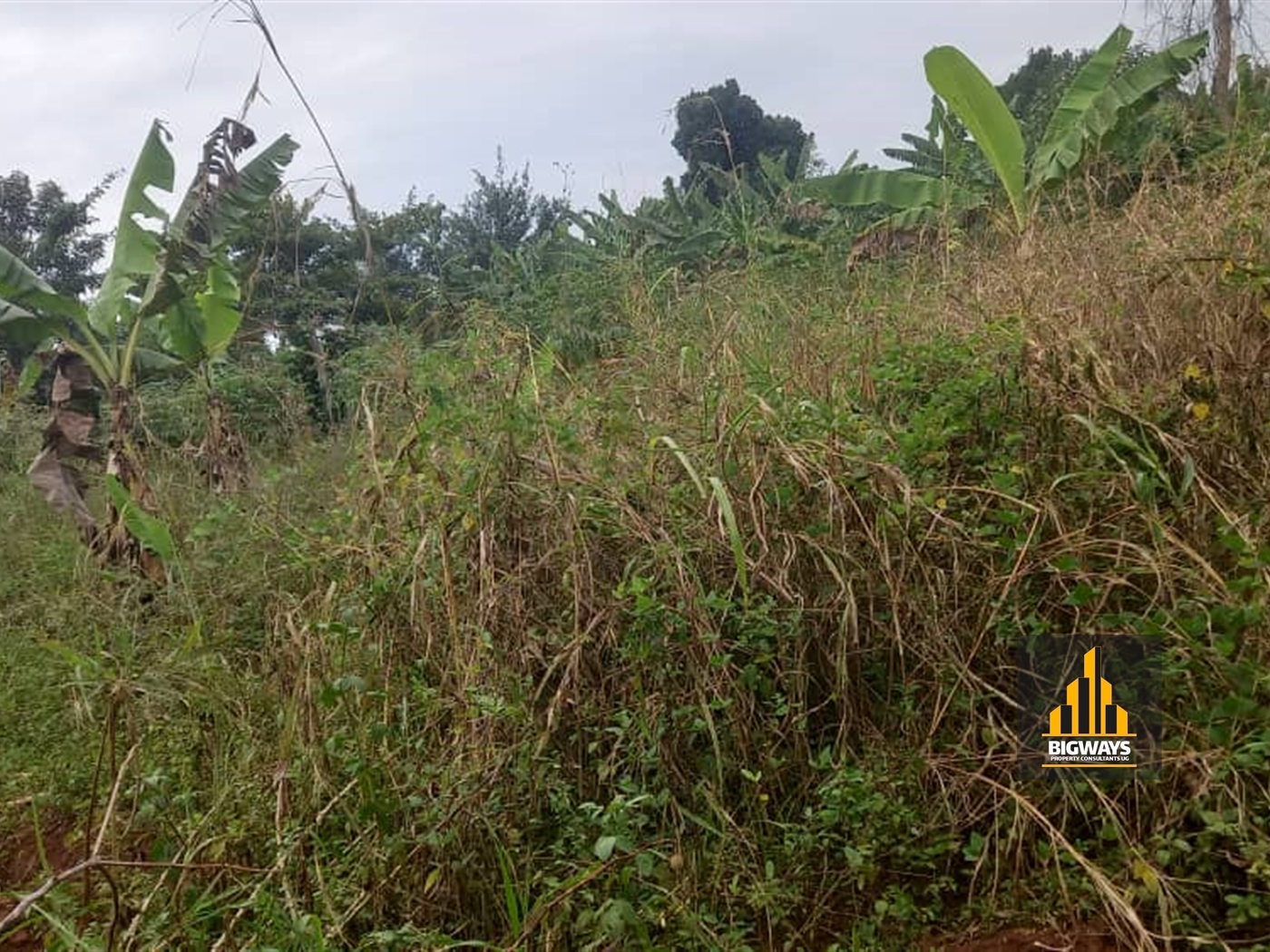 Residential Land for sale in Gayaza Wakiso