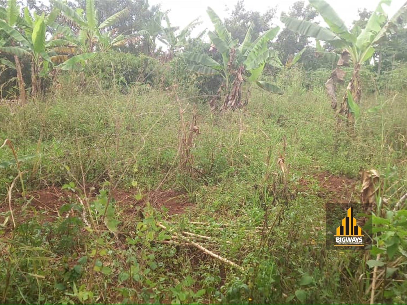 Residential Land for sale in Gayaza Wakiso