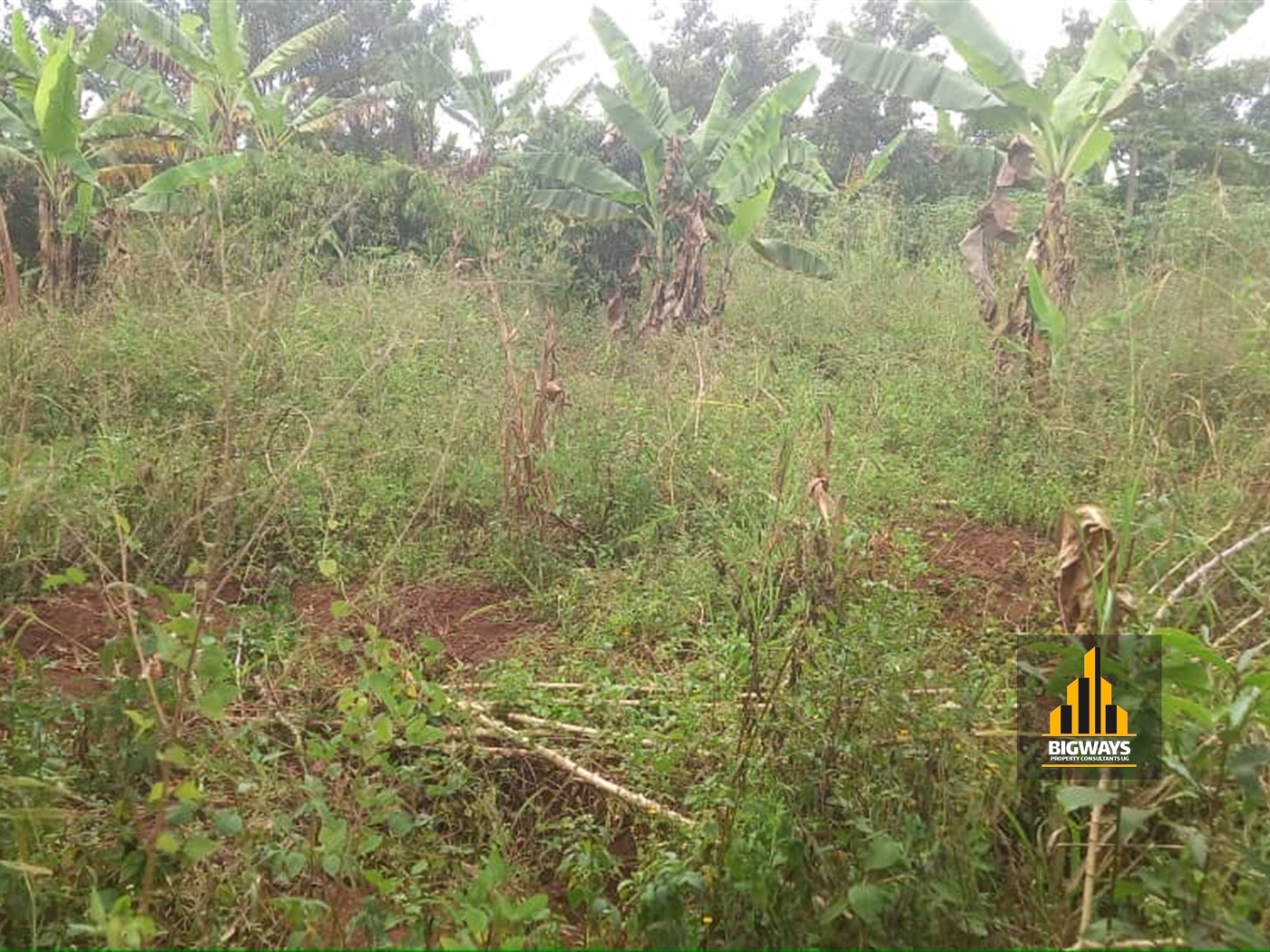 Residential Land for sale in Gayaza Wakiso