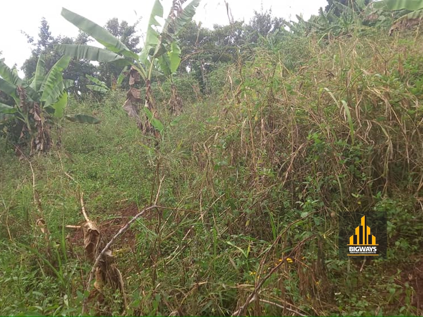 Residential Land for sale in Gayaza Wakiso