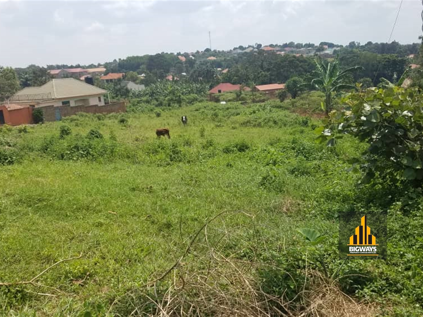 Residential Land for sale in Gayaza Wakiso