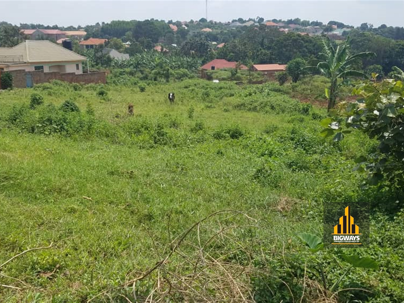 Residential Land for sale in Gayaza Wakiso