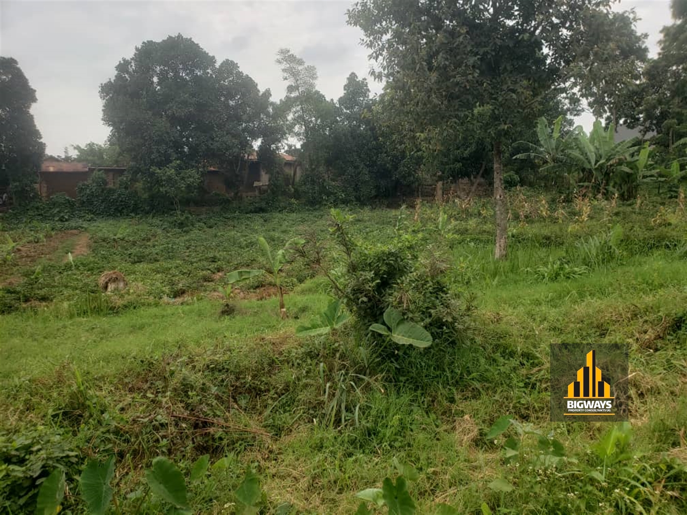 Residential Land for sale in Bweyogerere Wakiso