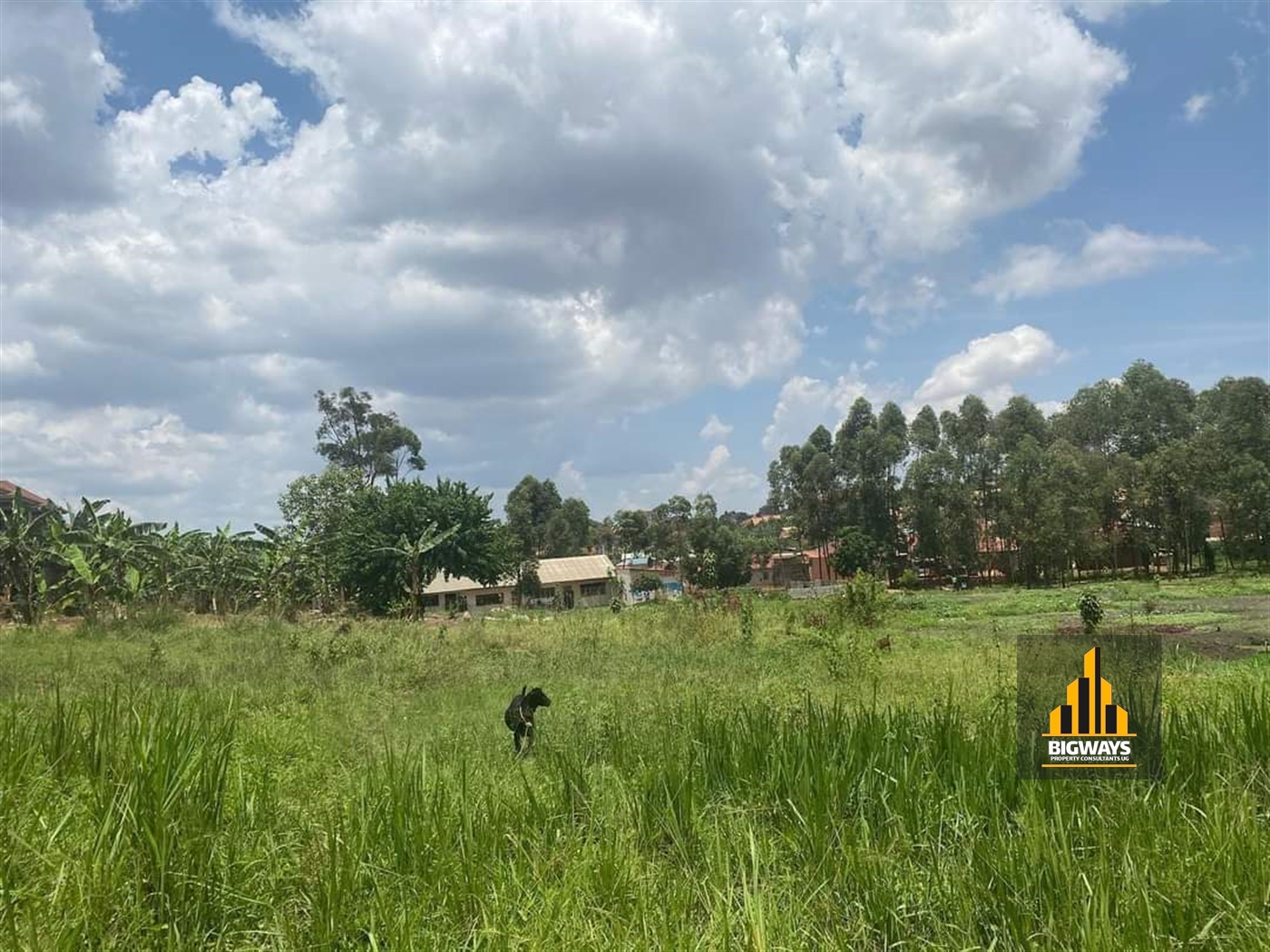 Residential Land for sale in Kyanja Wakiso