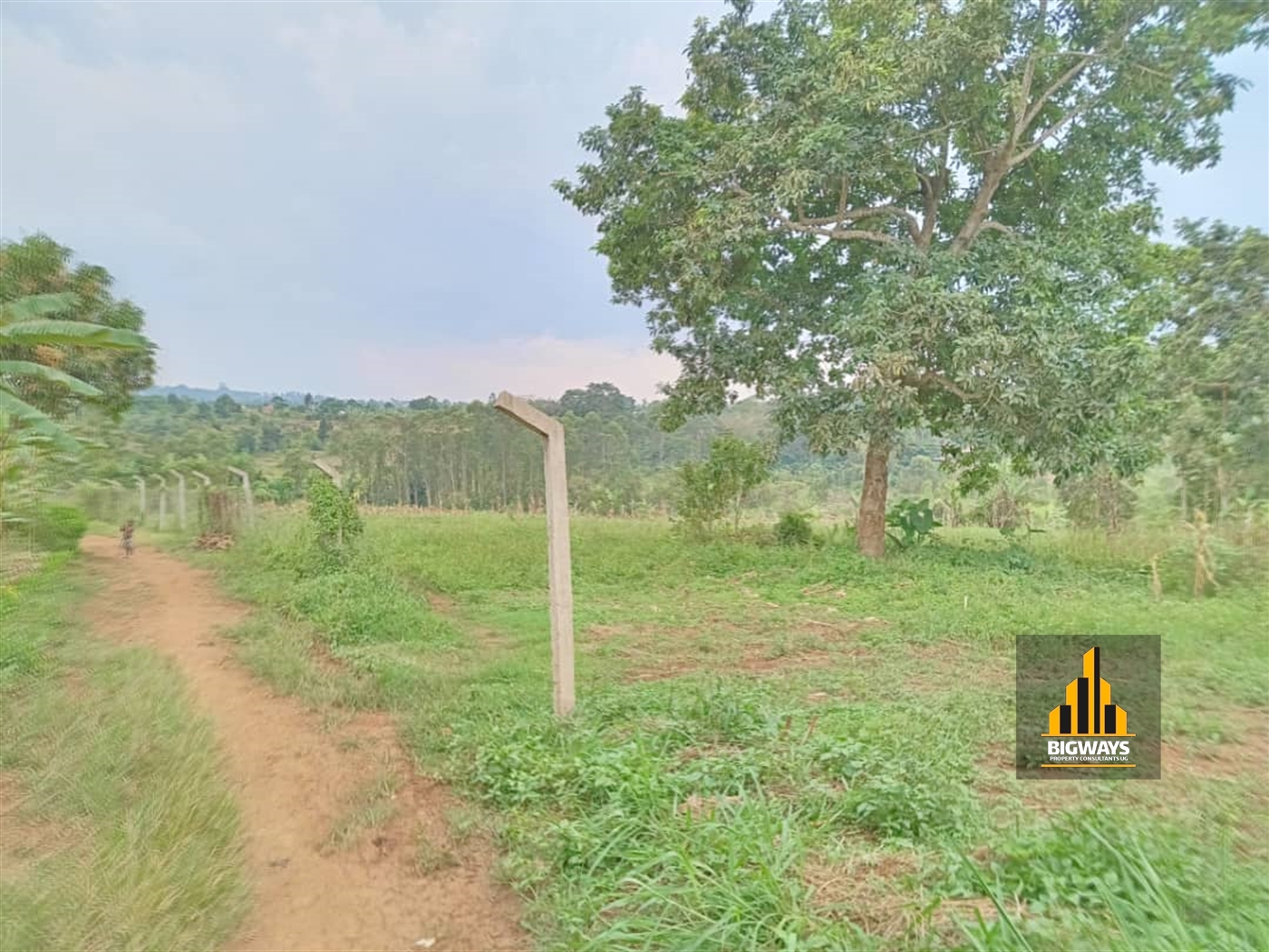 Residential Land for sale in Namugongo Wakiso