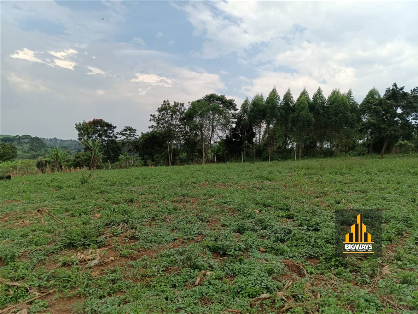 Residential Land for sale in Namugongo Wakiso