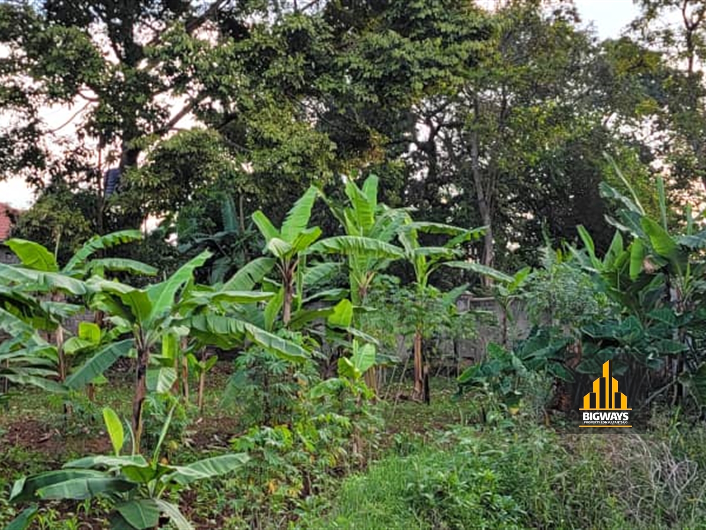 Residential Land for sale in Bbunga Kampala