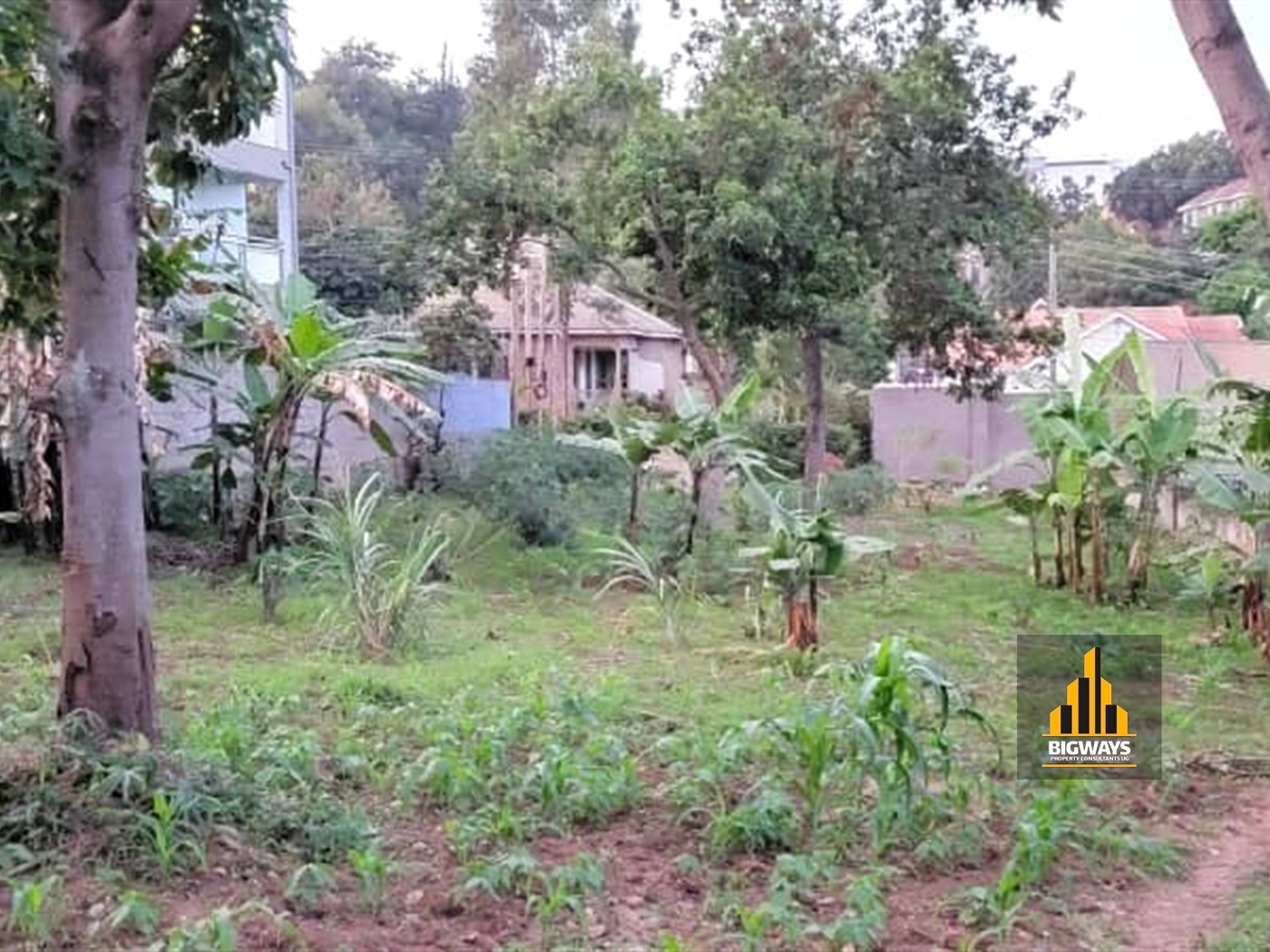 Residential Land for sale in Buziga Kampala