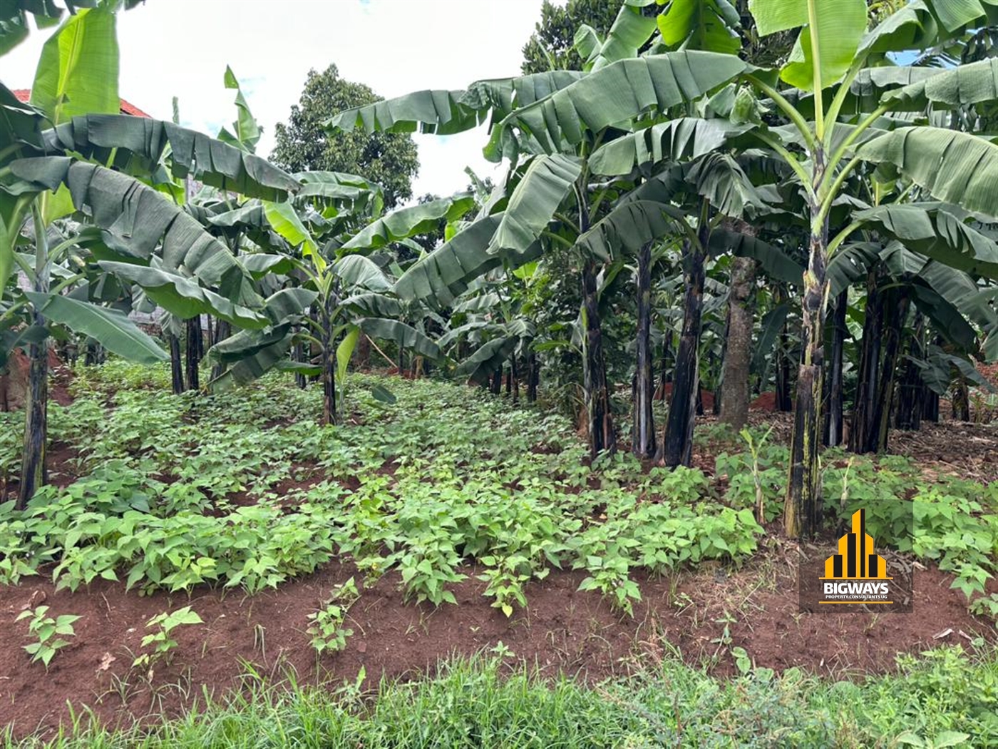 Residential Land for sale in Kira Wakiso