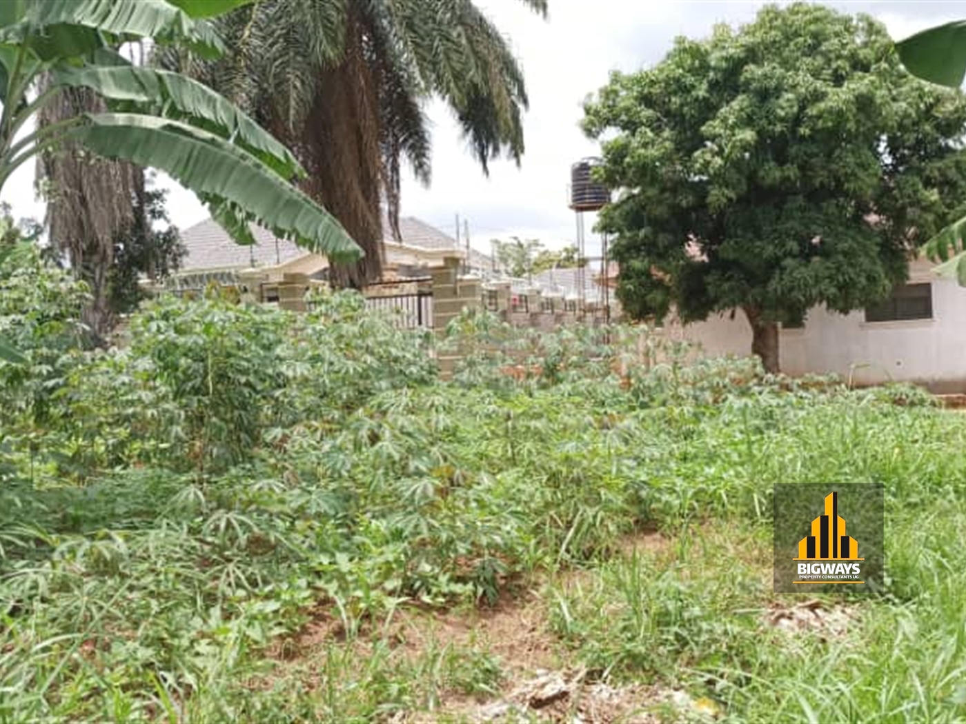 Residential Land for sale in Namulonge Wakiso