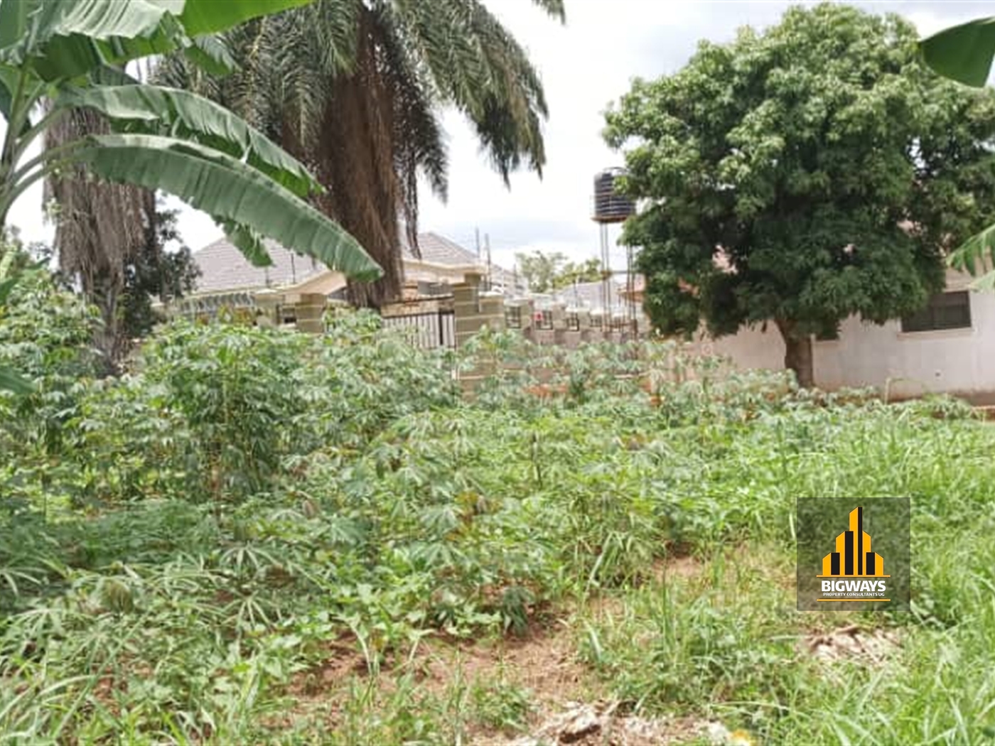 Residential Land for sale in Namulonge Wakiso