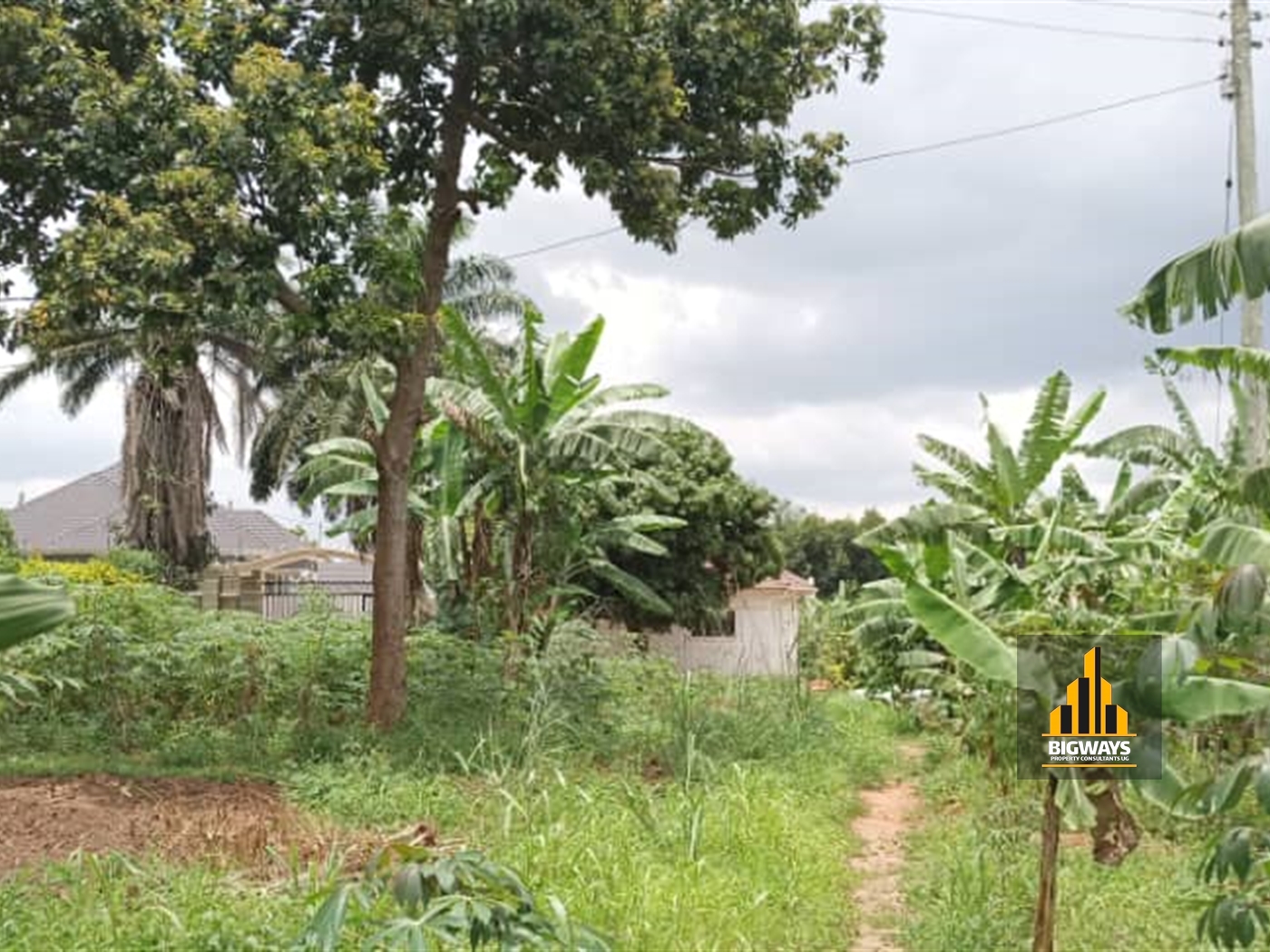 Residential Land for sale in Namulonge Wakiso