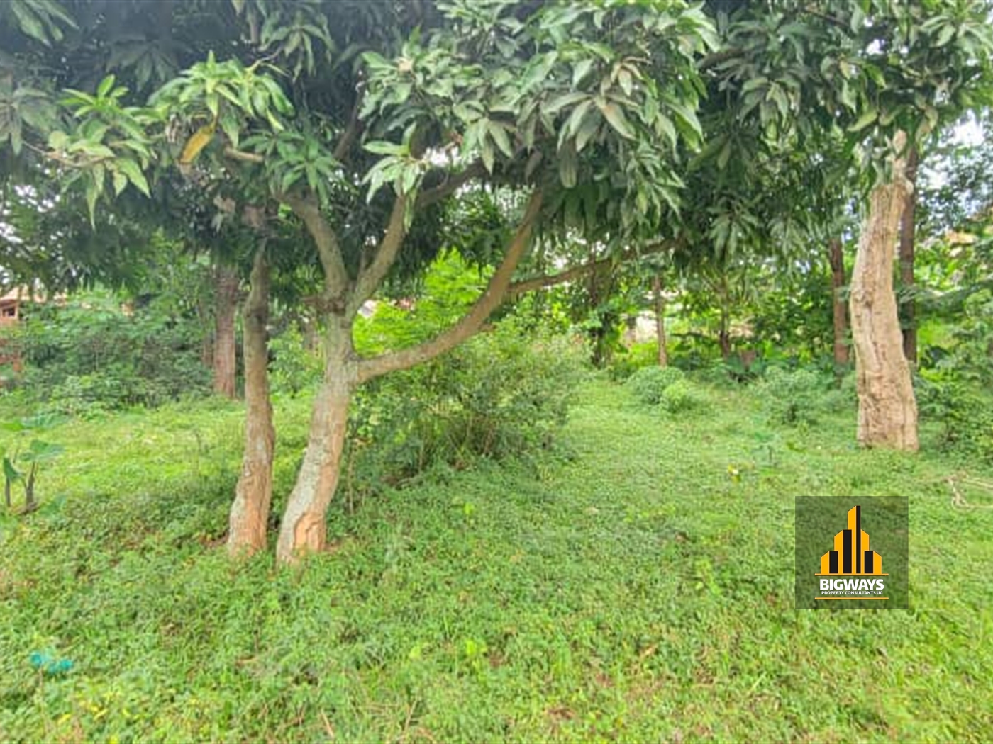 Residential Land for sale in Kiwaatule Kampala