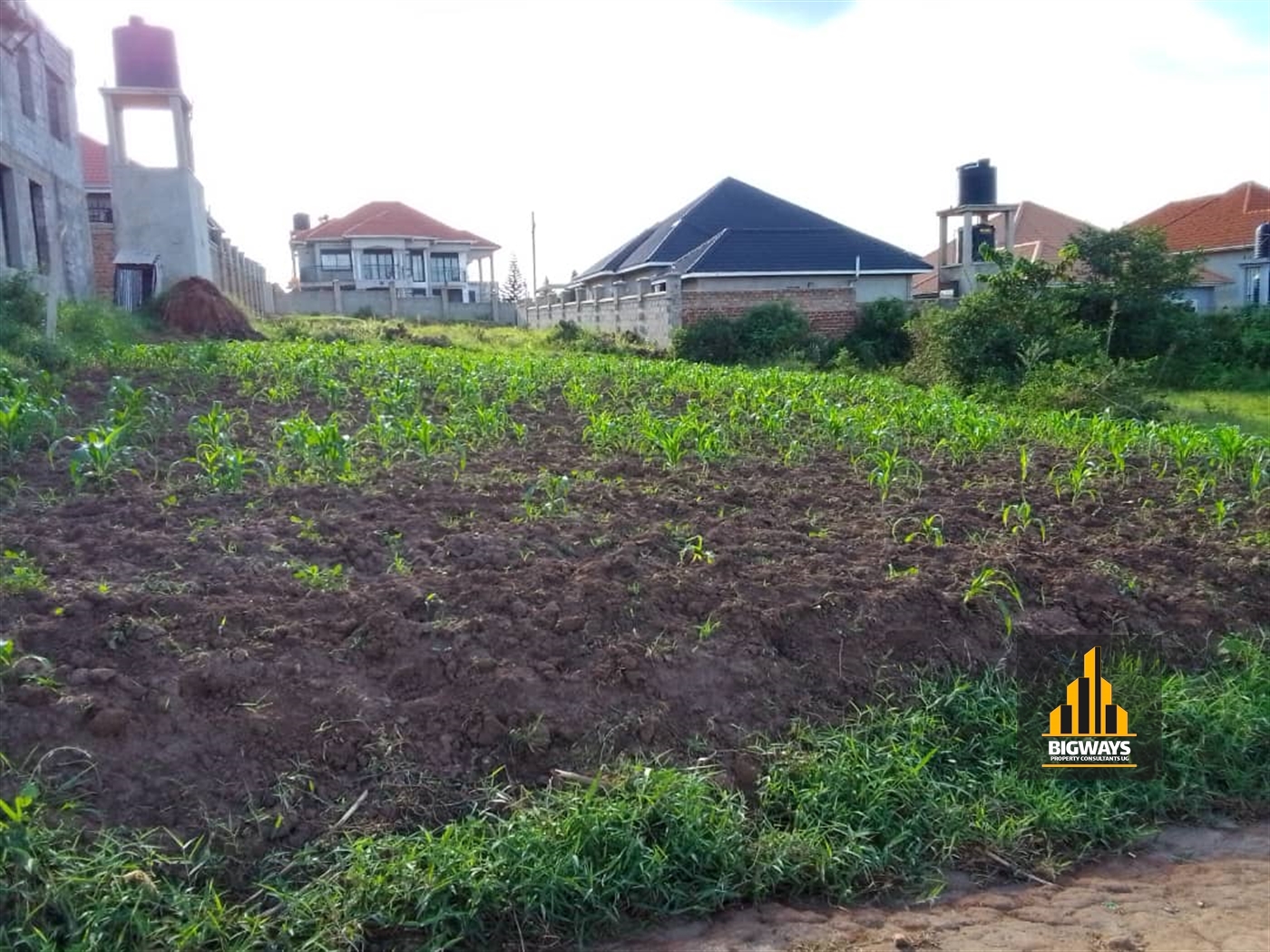 Residential Land for sale in Nsasa Wakiso