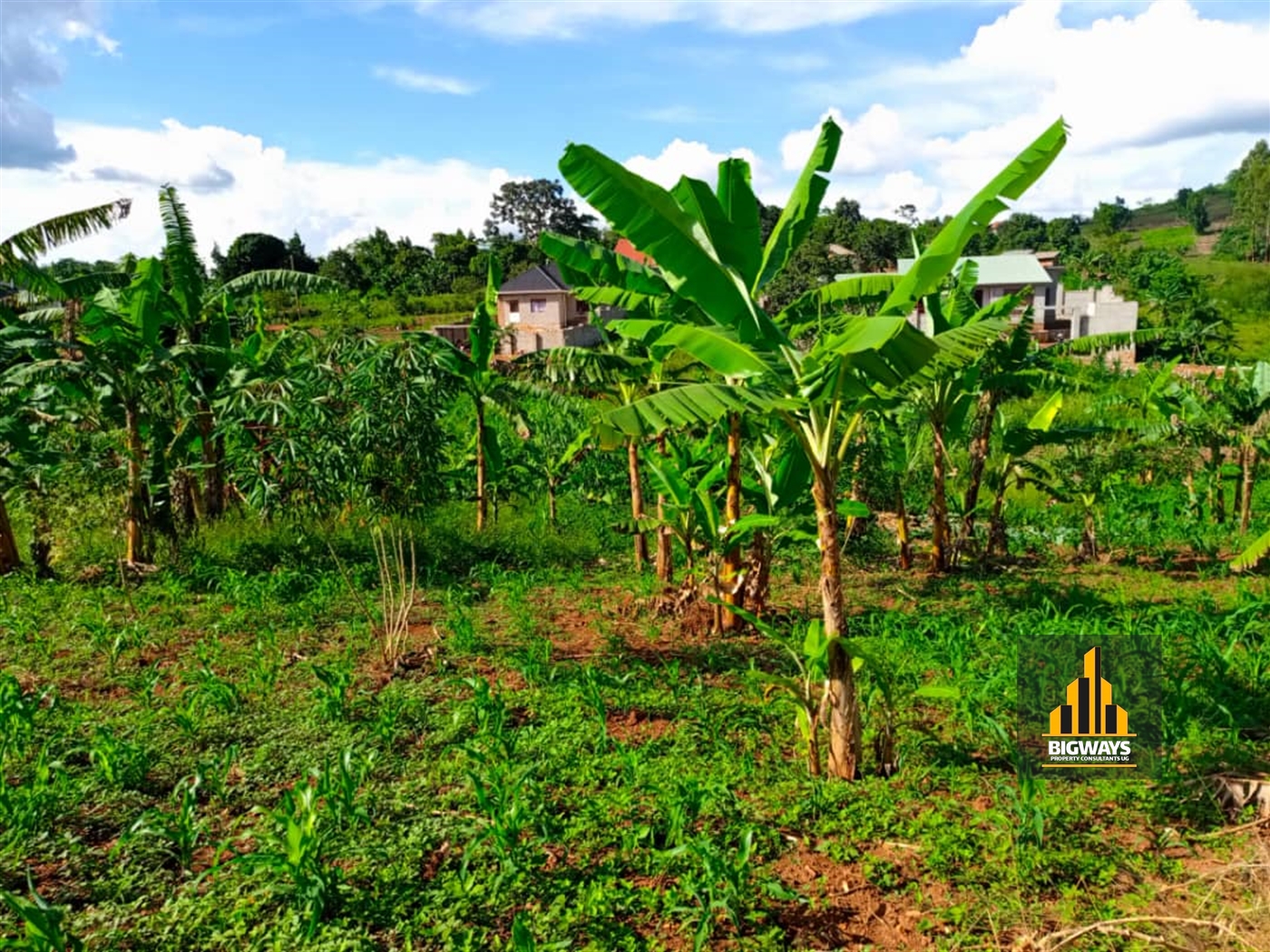 Residential Land for sale in Kira Wakiso