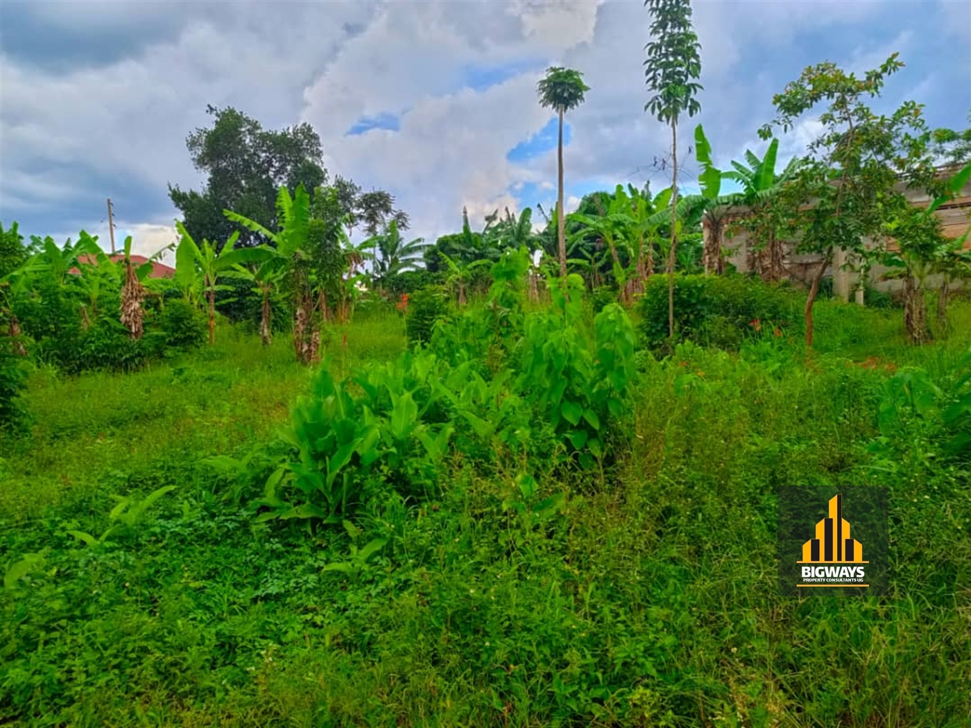 Residential Land for sale in Namulonge Wakiso