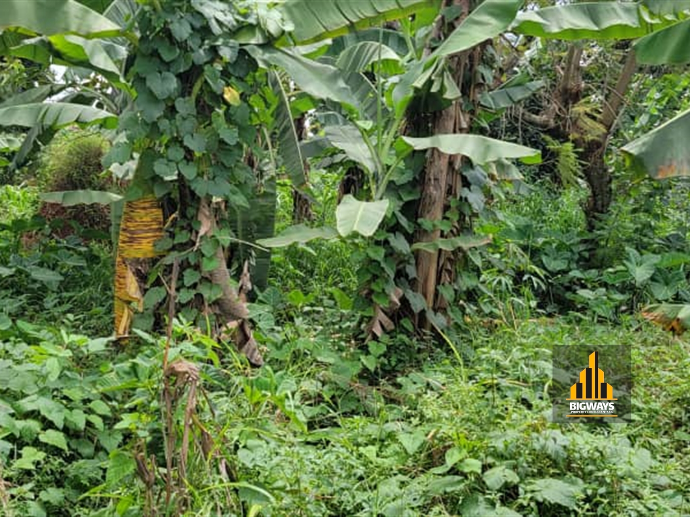 Residential Land for sale in Najjera Wakiso