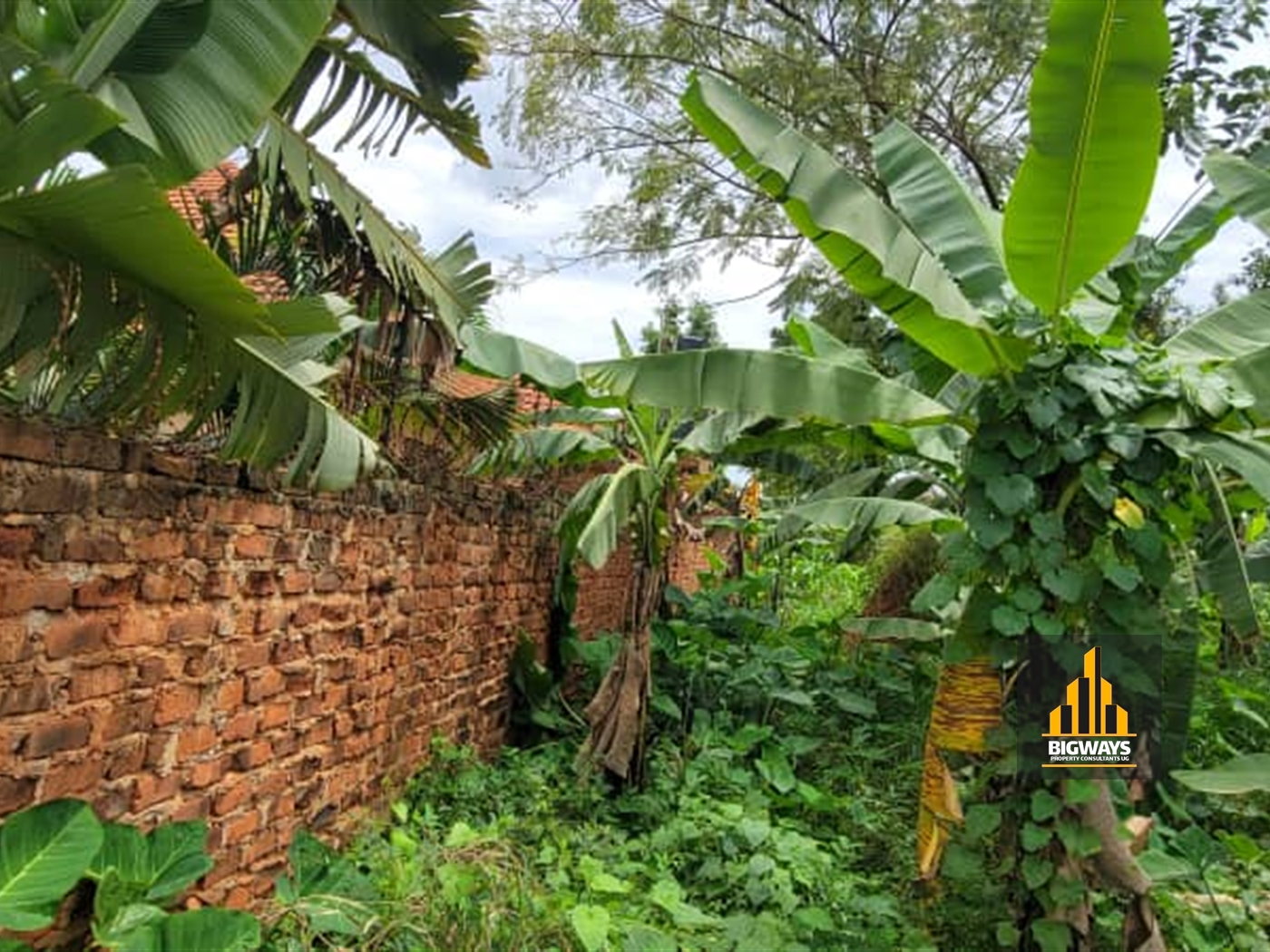 Residential Land for sale in Najjera Wakiso