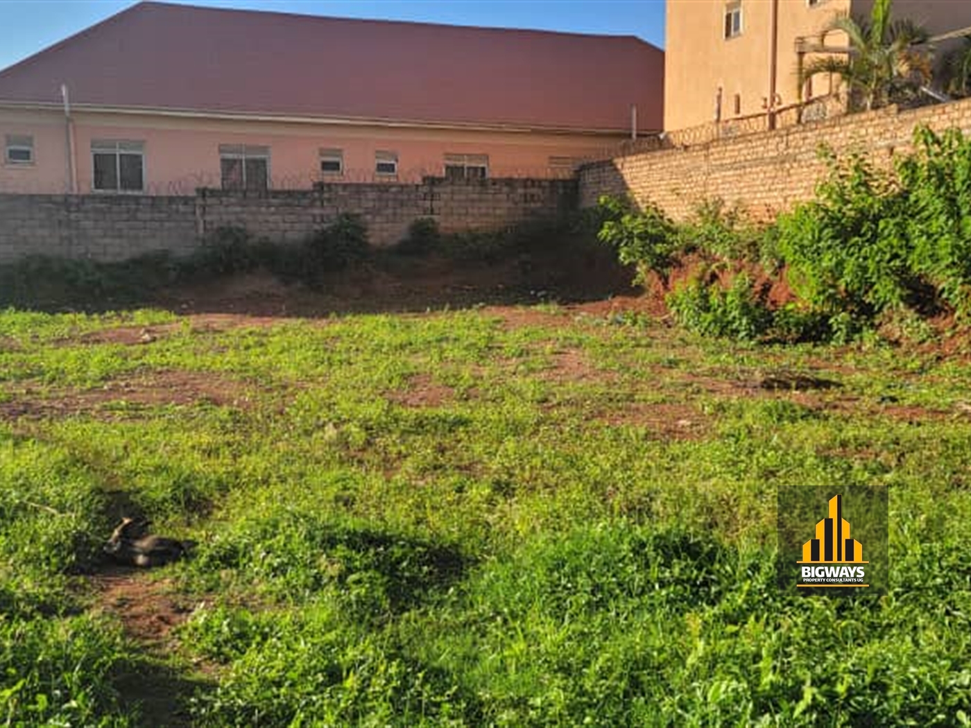 Residential Land for sale in Najjera Wakiso