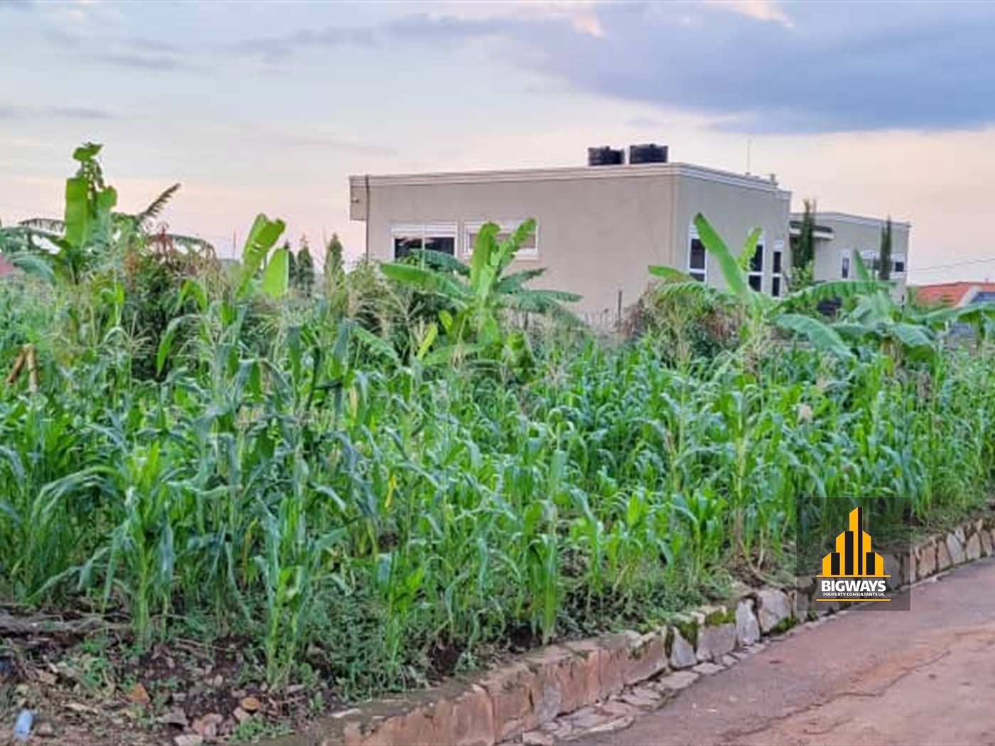 Residential Land for sale in Kisaasi Kampala