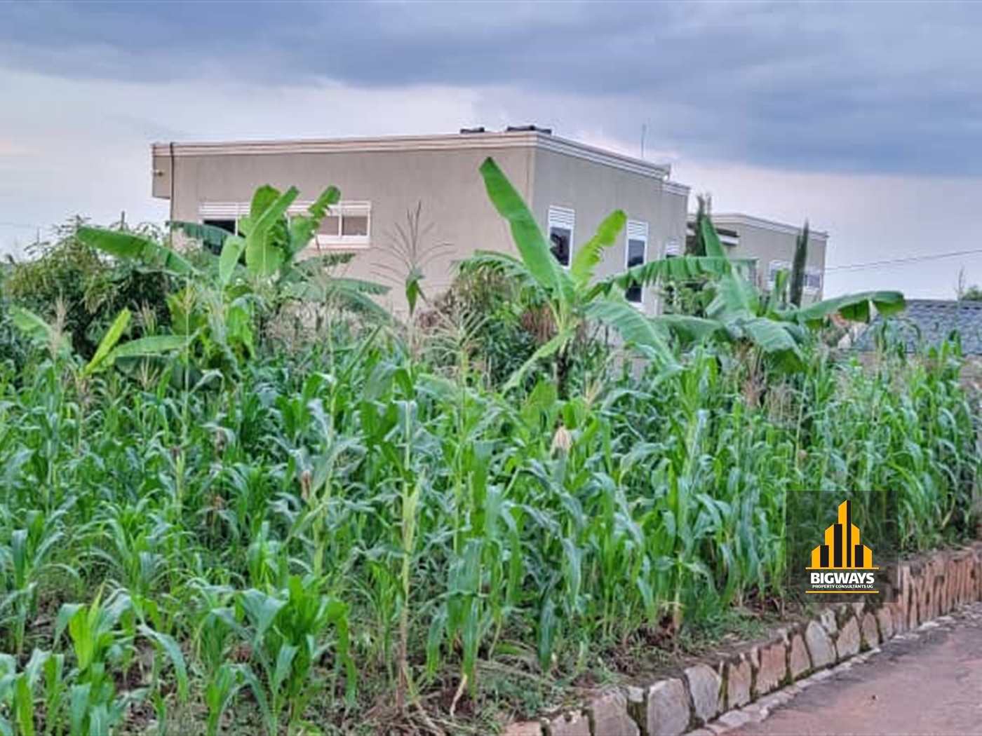 Residential Land for sale in Kisaasi Kampala