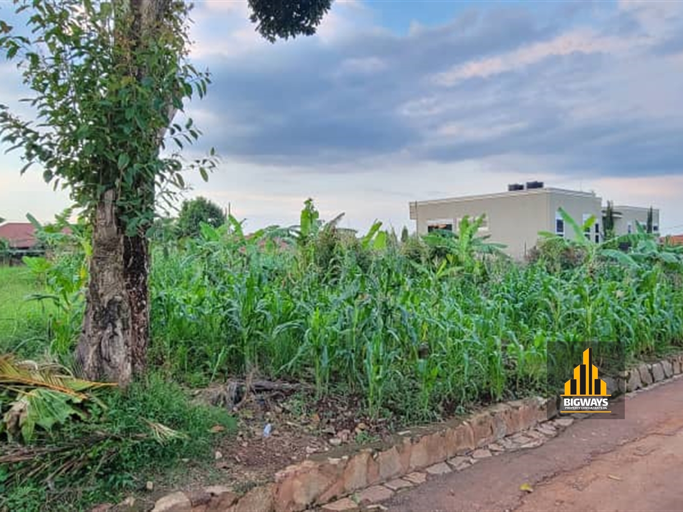 Residential Land for sale in Kisaasi Kampala