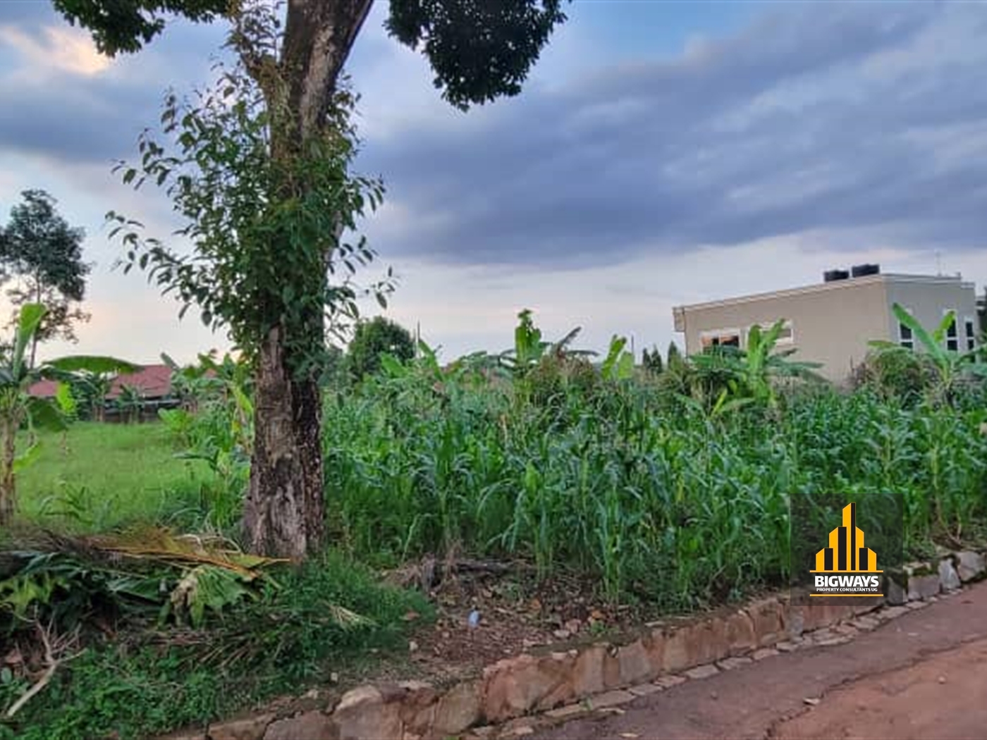 Residential Land for sale in Kisaasi Kampala