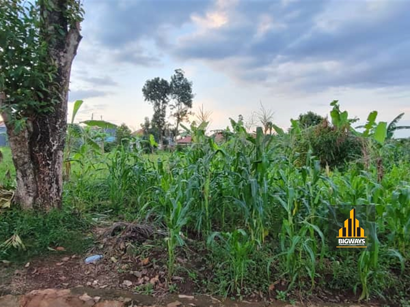 Residential Land for sale in Kisaasi Kampala