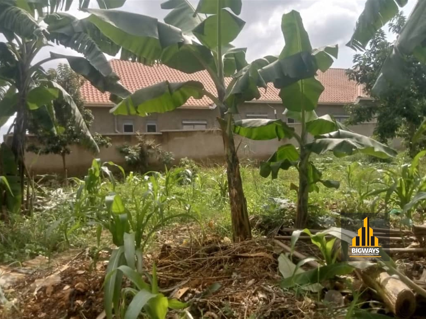 Commercial Land for sale in Kyanja Kampala