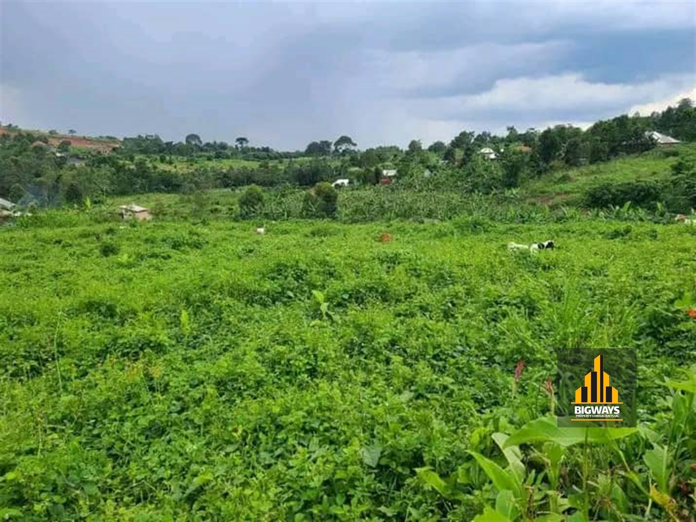 Residential Land for sale in Gayaza Wakiso