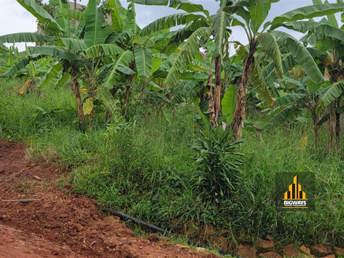 Residential Land for sale in Mulawa Wakiso