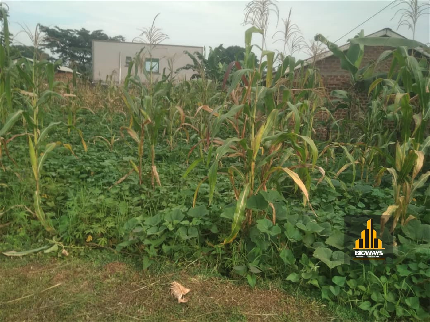 Residential Land for sale in Gayaza Wakiso