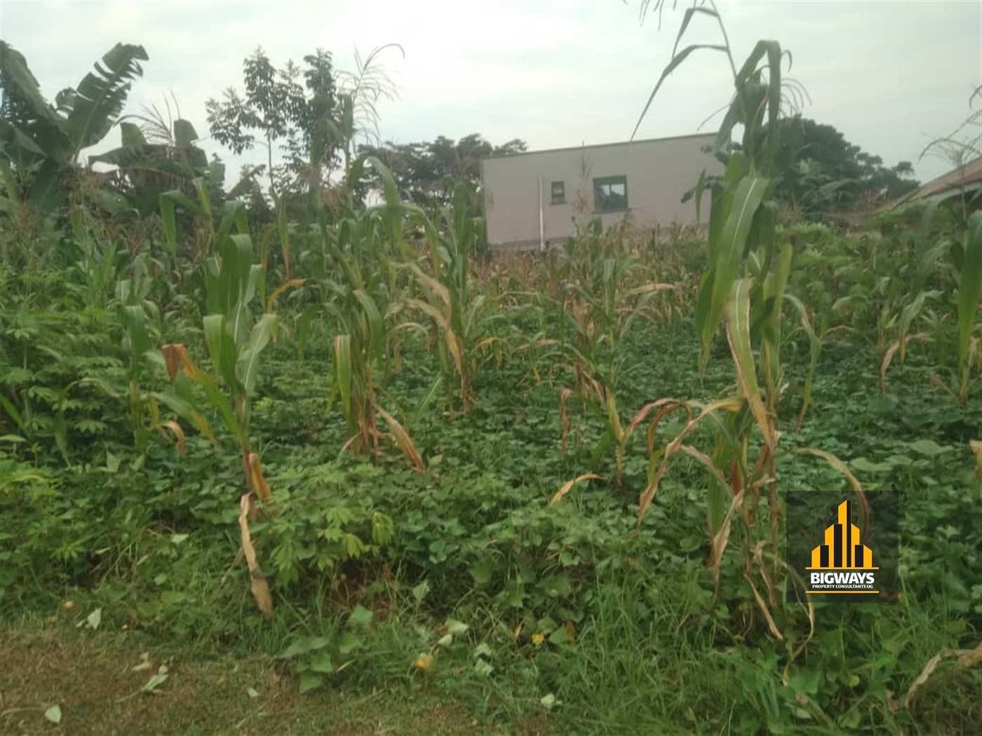 Residential Land for sale in Gayaza Wakiso