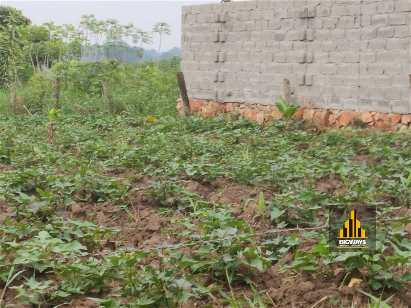 Residential Land for sale in Gayaza Wakiso